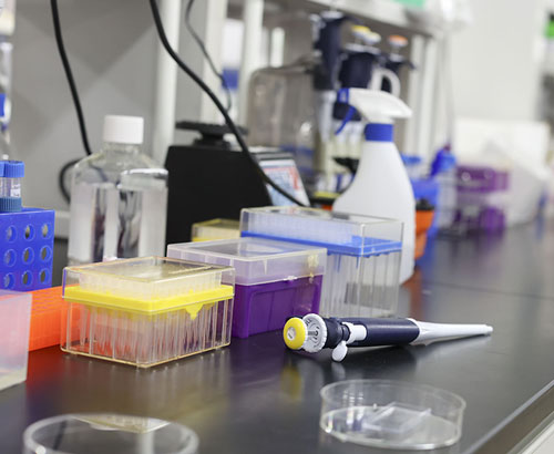 九州大学 生体防御医学研究所 トランスクリプトミクス分野 大川研究室