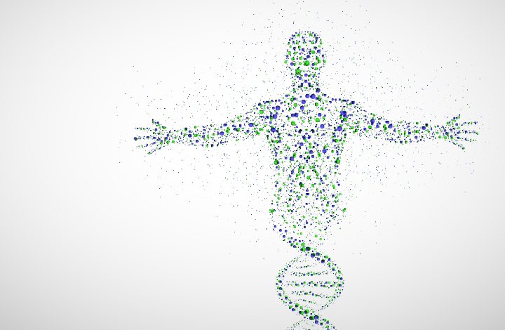 細胞の個性を決定する遺伝子はどのように選択されるか